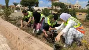 بمشاركة شبابية واسعة.. تواصل فعاليات جميلة يا بلدي لتجميل شوارع كفر الشيخ