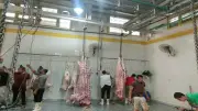 طب بيطري السادات يعلن جاهزية مجزر شبين الكوم المطور لاستقبال الأضاحي