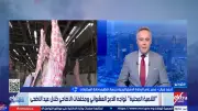 تنسيق كامل بين المحافظات وشركات النظافة خلال عيد الأضحى لإدارة المخلفات