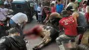 عقوبة حمل أدوات الذبح في عيد الأضحى: حبس وغرامة