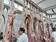 الزراعة تواصل عملها في العيد: الإشراف على ذبح الأضاحي مجانا بالمجازر