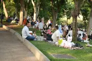 استمرار توافد المواطنين على الحدائق والمتنزهات للاحتفال بالعيد