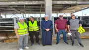 بدء ذبح أضاحي الأوقاف بالمجازر المعتمدة تحت إشراف بيطري متخصص