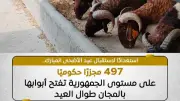 وزارة الزراعة تحذر من شراء اللحوم عبر مواقع التواصل الاجتماعي في عيد الأضحى