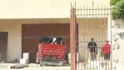 التفسير العلمي لهروب العجول يوم عيد الأضحى وأسباب الظاهرة