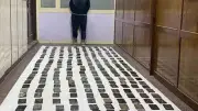 صندوق مكافحة الإدمان يحذر من مغالطات مدمن الحشيش ويؤكد ارتباطه بالجرائم وضمور المخ