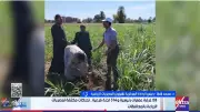 الزراعة: حصر ميداني للمحاصيل وربط صرف الأسمدة بالكارت الذكي