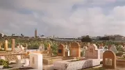 الإفتاء توضح حكم زيارة قبور الوالدين يوم الجمعة وقراءة القرآن لهما