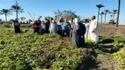 مركز معلومات تغير المناخ يوصي بعدم الإفراط في الري بسبب اعتدال الحرارة