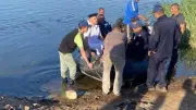 بعد ساعات من البحث.. انتشال جثمان شاب غرق في ترعة الإبراهيمية بالمنيا