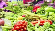 أسعار الخضار اليوم السبت في أسواق المنيا تباين مع اقتراب عيد الأضحى