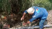 مياه القناة تنهي إصلاح أعطال شبكات الشرب بالقصاصين