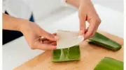 وصفات الصبار لترطيب الشعر الجاف واستعادة نعومته