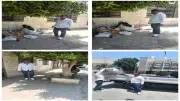 حملات مكبرة لإزالة الإشغالات ومواجهة الفريزة بحي العمرانية بالجيزة