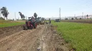 محافظ سوهاج يحيل مواطناً للنيابة بتهمة تبوير نصف فدان زراعي