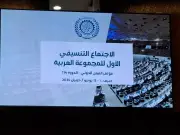 مصر تقود الدبلوماسية العملية العربية في جنيف قبل مؤتمر العمل الدولي