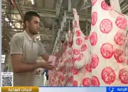 كيف تفرق بين الختم الرسمي والمزور للحوم في فيديو