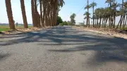 طفرة في طرق الجيزة: تطوير طراد النيل ورصف R1 بأبو رواش لتحقيق السيولة المرورية