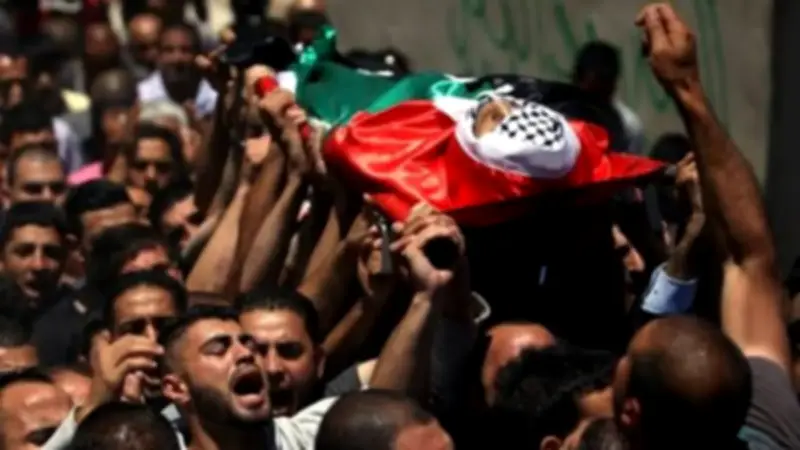 خبير: تحركات مصر الدبلوماسية والإنسانية تجاه فلسطين مستمرة بلا توقف
