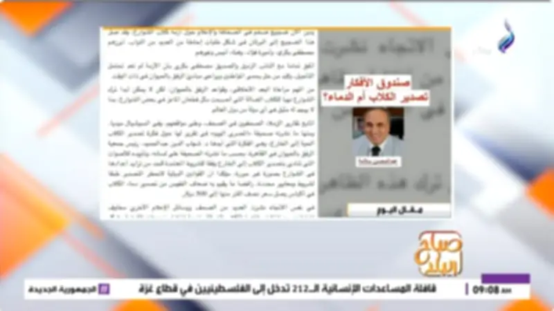 جدل حول تصدير الكلاب الضالة وحلول أخلاقية لأزمة الشوارع
