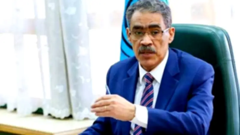 ضياء رشوان: مصر شريك في قمة السبع وليست ضيف شرف.. ونرفض تهجير الفلسطينيين