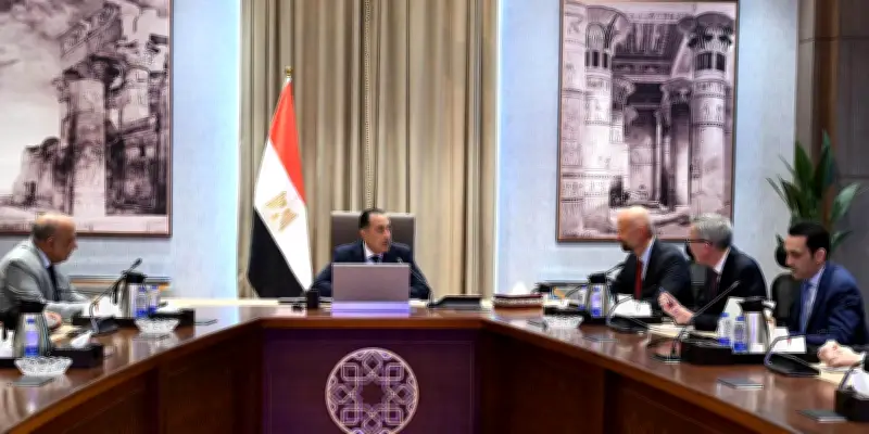 مدبولي: مشروعات سكاتك تتوافق مع توجهات الدولة وخططها للتوسع في الطاقة المتجددة
