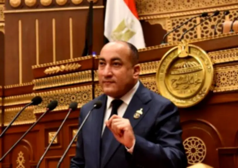 عضو بالشيوخ: زيادة المعاشات تؤكد تدخل الرئيس في التوقيت المناسب لحماية المواطنين