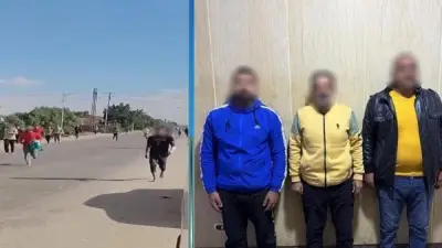 10 سنوات مشدد لرجل أعمال في قضية هروب نزلاء مصحة المريوطية