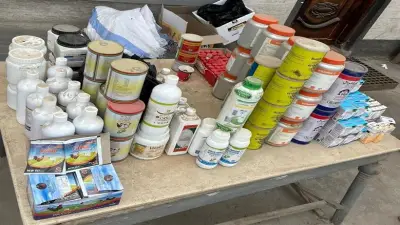 ضبط 1500 عبوة أدوية بيطرية مجهولة المصدر في حملة بمركز بيلا بكفر الشيخ