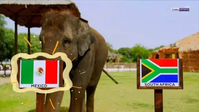 الفيل يتوقع فوز المكسيك على جنوب أفريقيا في افتتاح كأس العالم 2026