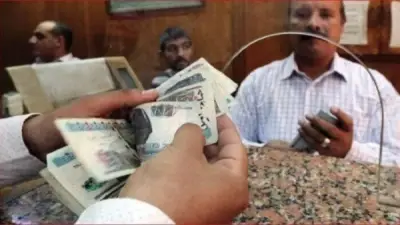 تعديلات قانون المعاشات: 238.55 مليار جنيه لتعزيز الحماية الاجتماعية