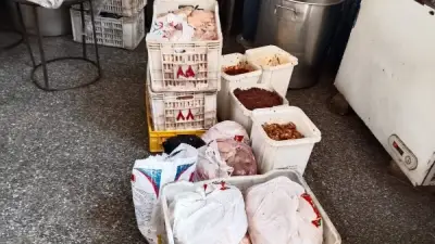 ضبط 240 كجم لحوم ودواجن فاسدة بمطعم شهير في القليوبية