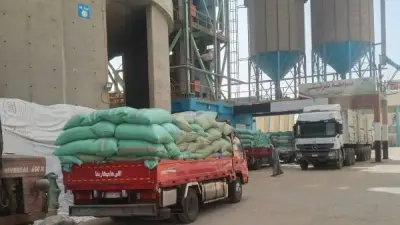 توريد 249 ألف طن قمح لصوامع كفر الشيخ بنسبة 88.7%