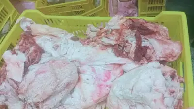 ضبط 3 أطنان لحوم ودهون غير صالحة للاستهلاك بشبين القناطر