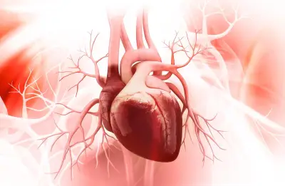 3 ركائز أساسية لحماية الشرايين والوقاية من أمراض القلب