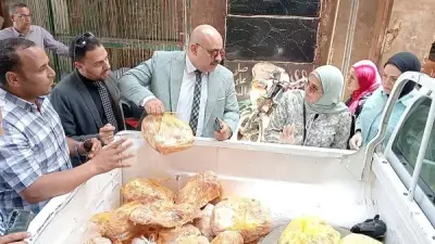 ضبط 3 أطنان مخللات مجهولة المصدر بمصنع في المحلة الكبرى بالغربية