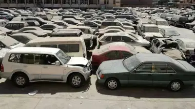 35.4 مليون جنيه حصيلة مزاد جمارك الإسكندرية والسلوم ومطروح