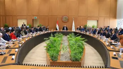 اعتماد 38 مدرب توكاتسو جديد في المدارس المصرية اليابانية والحكومية
