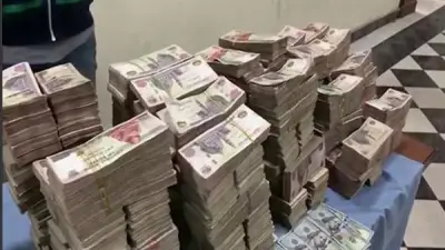 ضبط 4 متهمين بغسل 30 مليون جنيه حصيلة نصب إلكتروني في مصر