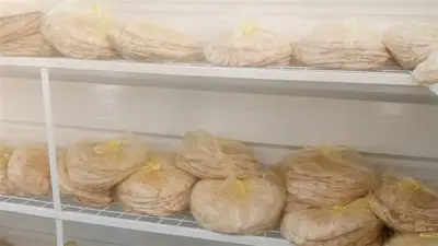 46 منفذًا لبيع الخبز المدعم بالدقهلية لإنهاء الطوابير وتوفير الخدمة للمواطنين