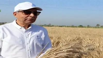 محافظ المنيا: توريد 490 ألف طن قمح وتجاوز المستهدف بنسبة 15%