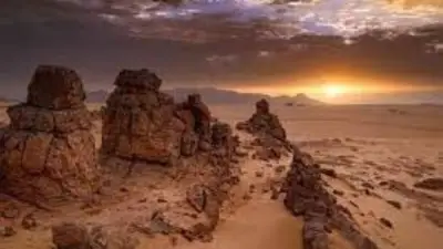 مصرع 50 نيجرياً عطشاً في الصحراء الكبرى قرب الحدود الجزائرية
