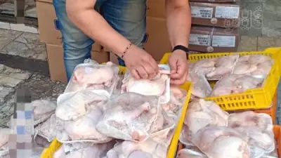 ضبط 500 كجم دواجن مجهولة المصدر في بورسعيد قبل طرحها بالأسواق