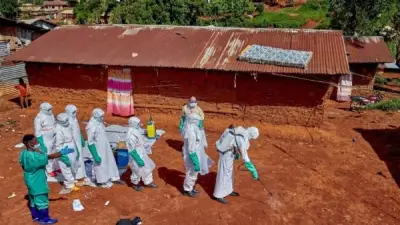 منظمة الصحة العالمية: 500 إصابة مؤكدة بفيروس إيبولا في وسط أفريقيا