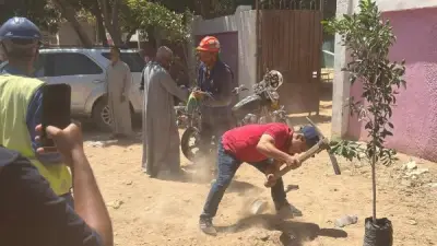 محافظ أسيوط يعلن زراعة 500 شجرة بقرى بني عديات والعزية وجحدم بمنفلوط