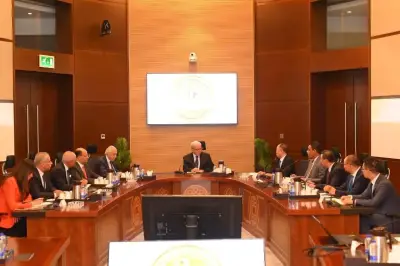 أكبر شركة صينية للإطارات تضخ 550 مليون دولار استثمارات جديدة في مصر
