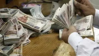 7 حالات يحق لهم الحصول على دعم مجاني من الدولة المصرية