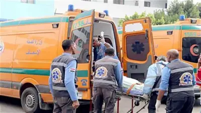 مصرع شخص وإصابة 8 آخرين في حادثين بمركز بلبيس بالشرقية