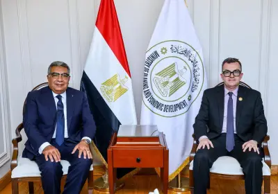 9.4 مليار جنيه استثمارات لتنفيذ 582 مشروعًا بالدقهلية
