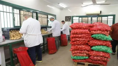 الزراعة: فحص 970 ألف طن من صادرات البطاطس ورفع كفاءة متابعة الأقمار الصناعية